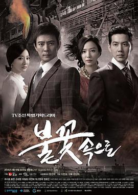 兴化seo关键词优化